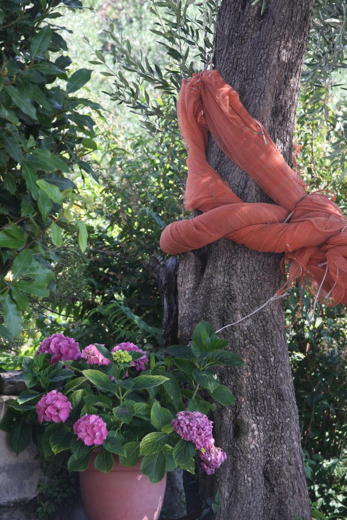 B&B Le Giare Monterosso al Mare Exterior foto